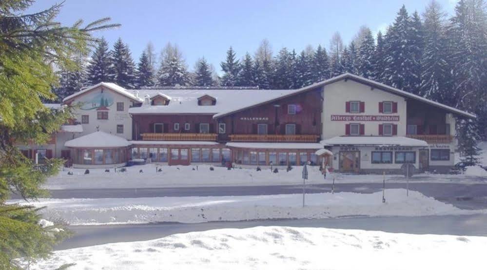 Hotel Waldheim Sarnonico Buitenkant foto