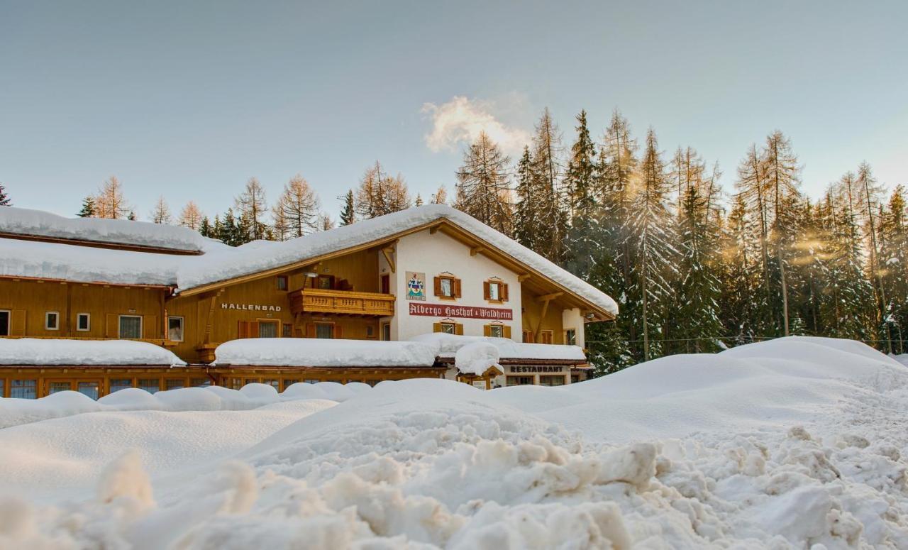 Hotel Waldheim Sarnonico Buitenkant foto